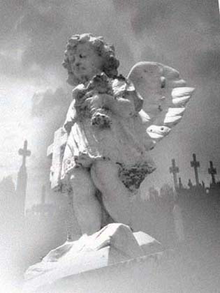 angel