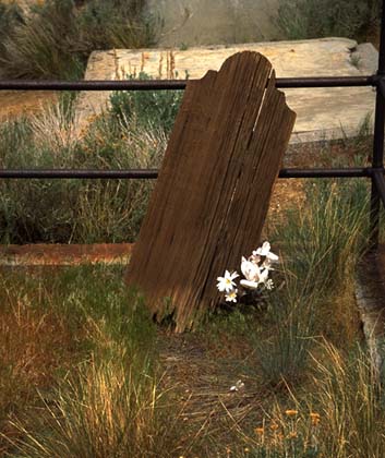 cailfornia graveyard