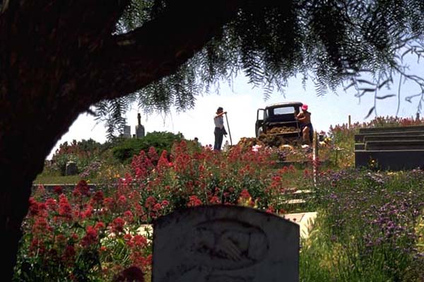 cailfornia graveyard