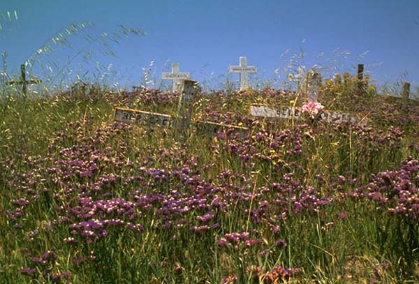 cailfornia graveyard