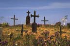 california graveyard