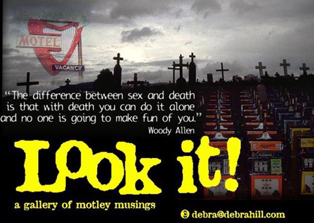 look it! a gallery of motley musings