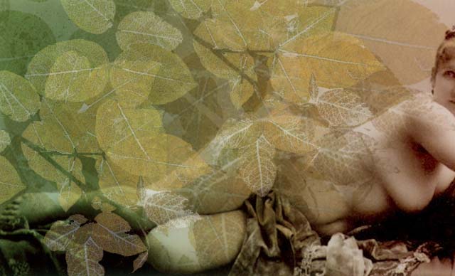 leaves of ass